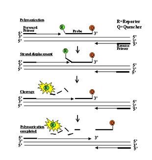 优德88·(中国区)官方网站