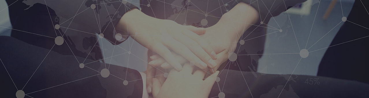 优德88·(中国区)官方网站